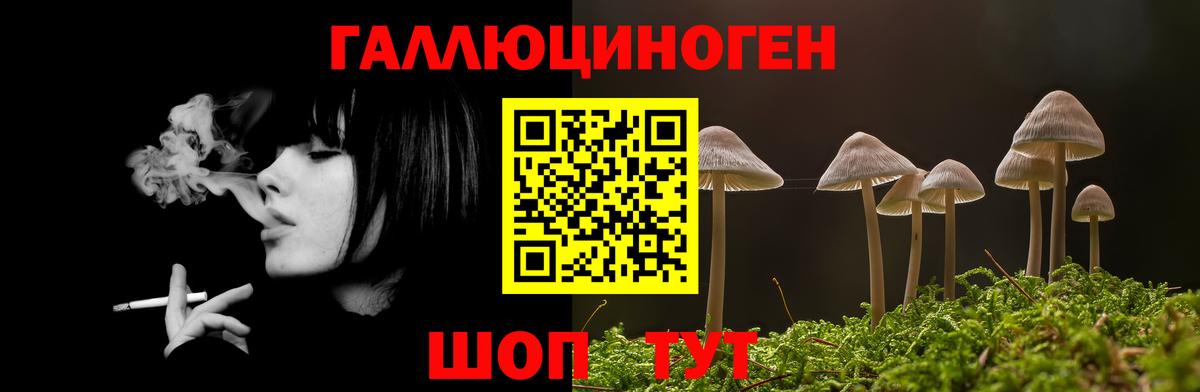 Галлюциногенные грибы Psilocybine cubensis Королёв